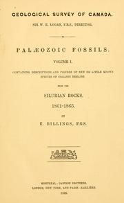 Cover of: Palæozoic fossils