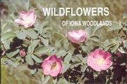 Cover of: Wildflowers of Iowa woodlands | Sylvan T. Runkel