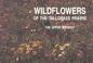 Cover of: Wildflowers of the Tallgrass Prairie