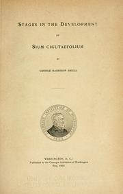 Cover of: Stages in the development of Sium cicutaefolium