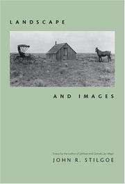 Cover of: Landscape And Images by John R. Stilgoe