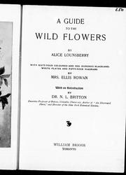 Cover of: A guide to the wild flowers