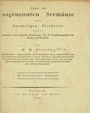 Ueber die sogenannten Seemäuseoder hornartigen Fischeyer by Wilhelm Gottlob Tilesius von Tilenau