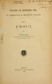 Pesci by Decio Vinciguerra