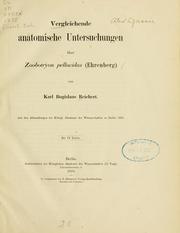 Cover of: Vergleichende anatomische Untersuchungen über Zoobotryon pellucidus (Ehrenberg)