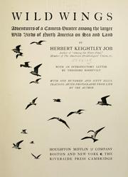 Cover of: Wild wings: adventures of a camera-hunter among the larger wild birds of North America on sea and land