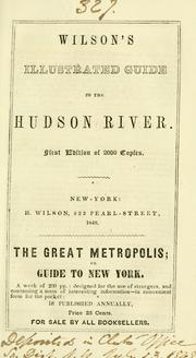 Wilson's illustrated guide to the Hudson River