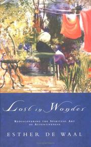 Cover of: Lost in Wonder: Rediscovering the Spiritual Art of Attentiveness