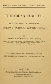 Cover of: young teacher: an elementary handbook of Sunday school instruction