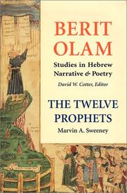 Cover of: The Twelve Prophets (Vol. 2): Micah, Nahum, Habakkuk, Zephaniah, Haggai, Zechariah, Malachi (Berit Olam series) by Marvin A. Sweeney