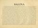 Cover of: Salina.