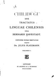 Cover of: Chilidúgú by Bernhard Havestadt