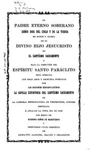 Cover of: Viajes en España y Sud-América con el objeto de conseguir fondos para la capilla hispano-americana del Santísimo Sacramento en la catedral de Westminister