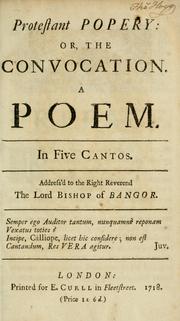 Cover of: Protestant popery : or, The convocation. A poem. In five cantos. Address'd to the Right Reverend the Lord Bishop of Bangor [Benjamin Hoadly].