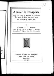 Cover of: A sister to Evangeline: being the story of Yvonne de Lamourie, and how she went into exile with the villagers of Grande Pré