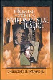 Cover of: The promise and peril of environmental justice