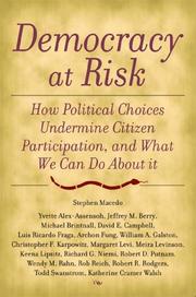 Cover of: Democracy at risk: how political choices undermine citizen participation and what we can do about it