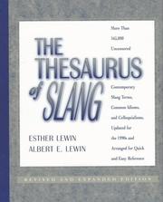 Cover of: The thesaurus of slang by Esther Lewin, Esther Lewin