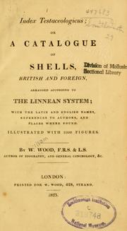 Cover of: Index testaceologicus, or, A catalogue of shells, British and foreign, arranged according to the Linnean system by W. Wood