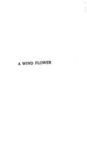 Cover of: A Wind Flower: A Novel