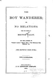 Cover of: The Boy Wanderer Or, No Relations