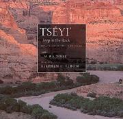 Cover of: Tséyi' by Laura Tohe