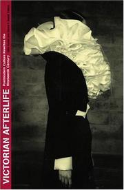 Cover of: Victorian afterlife: postmodern culture rewrites the nineteenth century