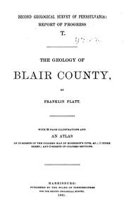 The Geology, of Blair County by Franklin Platt