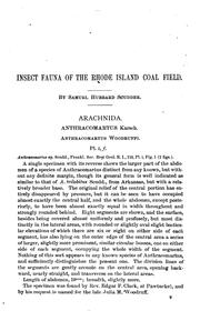 Insect Fauna of the Rhode Island Coal Field by Samuel Hubbard Scudder