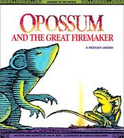 Cover of: Opossum & The Great Firemaker by Mike.