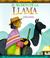 Cover of: El secreto de la llama