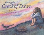 Cover of: Fixing the crack of dawn by Erica Silverman