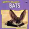 Cover of: World's weirdest bats