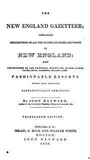 Cover of: The New England Gazetteer: Containing Descriptions of All the States, Counties and Towns in New ...