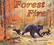 Cover of: Forest Fire