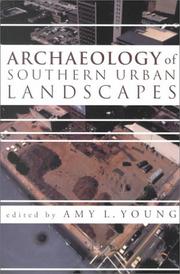 Cover of: Archaeology of southern urban landscapes