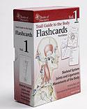 Cover of: Trail Guide to the Body Flashcards Volume 1: Skeletal System, Joints and Ligaments, Movements of the Body
