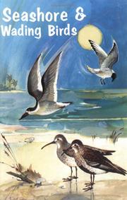 Cover of: Seashore and wading birds of Florida by Patricia E. Pope