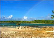 Ethnology of Manihiki and Rakahanga by Peter Henry Buck