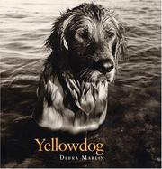 Cover of: Yellowdog