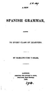 Cover of: A new Spanish grammar