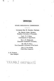 Cover of: The Red Iron Ores of East Tennessee by Ernest Francis Burchard