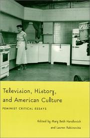 Cover of: Television, History, and American Culture by 