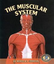 Cover of: The Muscular System (Early Bird Body Systems)