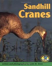 sandhill-cranes-cover