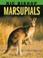 Cover of: Nic Bishop marsupials.