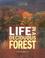 Cover of: Life in a Deciduous Forest (Ecosystems in Action)