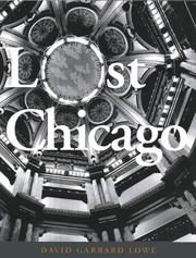 Cover of: Lost Chicago by David Garrard Lowe