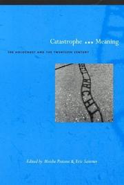 Cover of: Catastrophe and Meaning: The Holocaust and the Twentieth Century