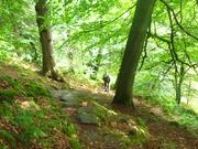 Countryside walks around Bradford